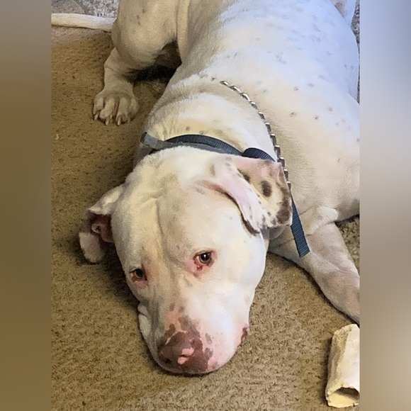 Meet your Posher, Megan - Picture 9 of 15